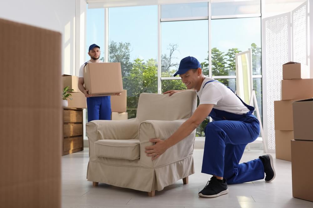 Professional Movers Near Me